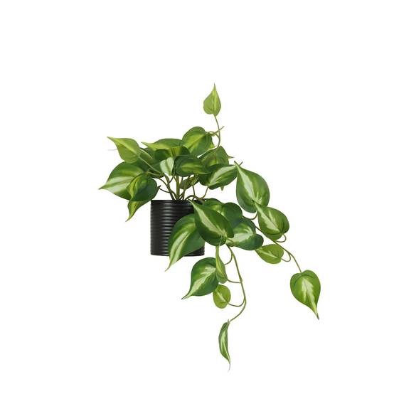 Ligne Deco - Plante artificielle tombante pothos 50cm - Image 1