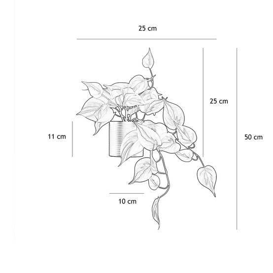Ligne Deco - Plante artificielle tombante pothos 50cm - Image 6
