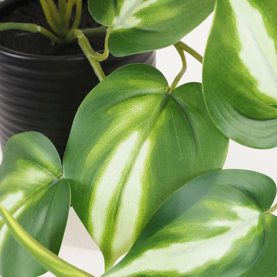 Ligne Deco - Plante artificielle tombante pothos 50cm - Image 4