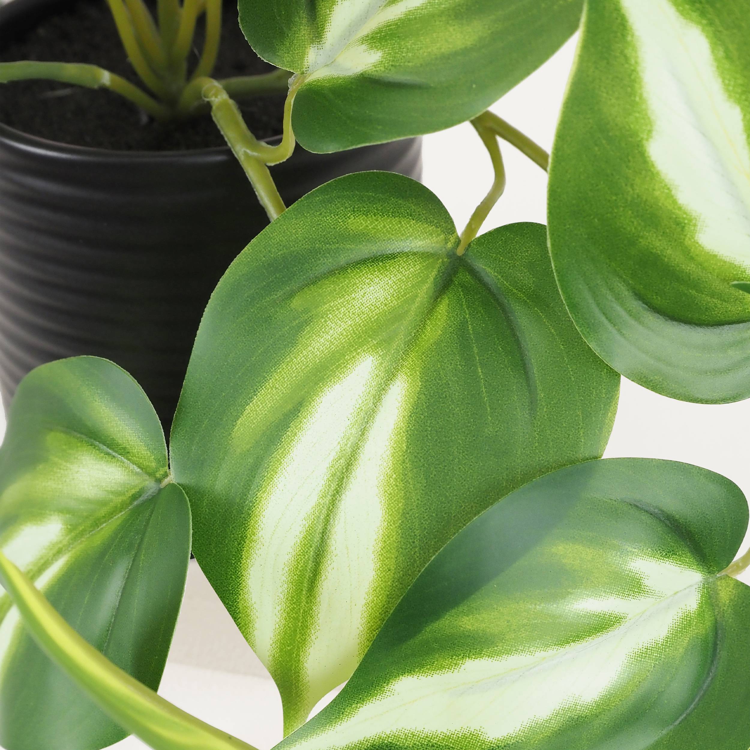 Ligne Deco - Plante artificielle tombante pothos 50cm - Image 4
