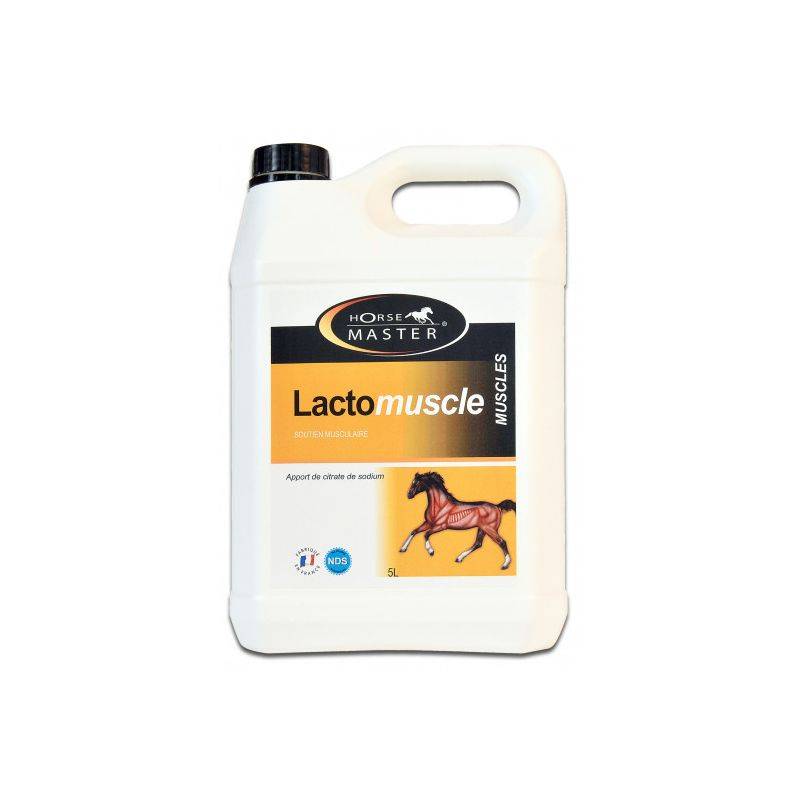 LACTOMUSCLE - HORSE MASTER 5 l