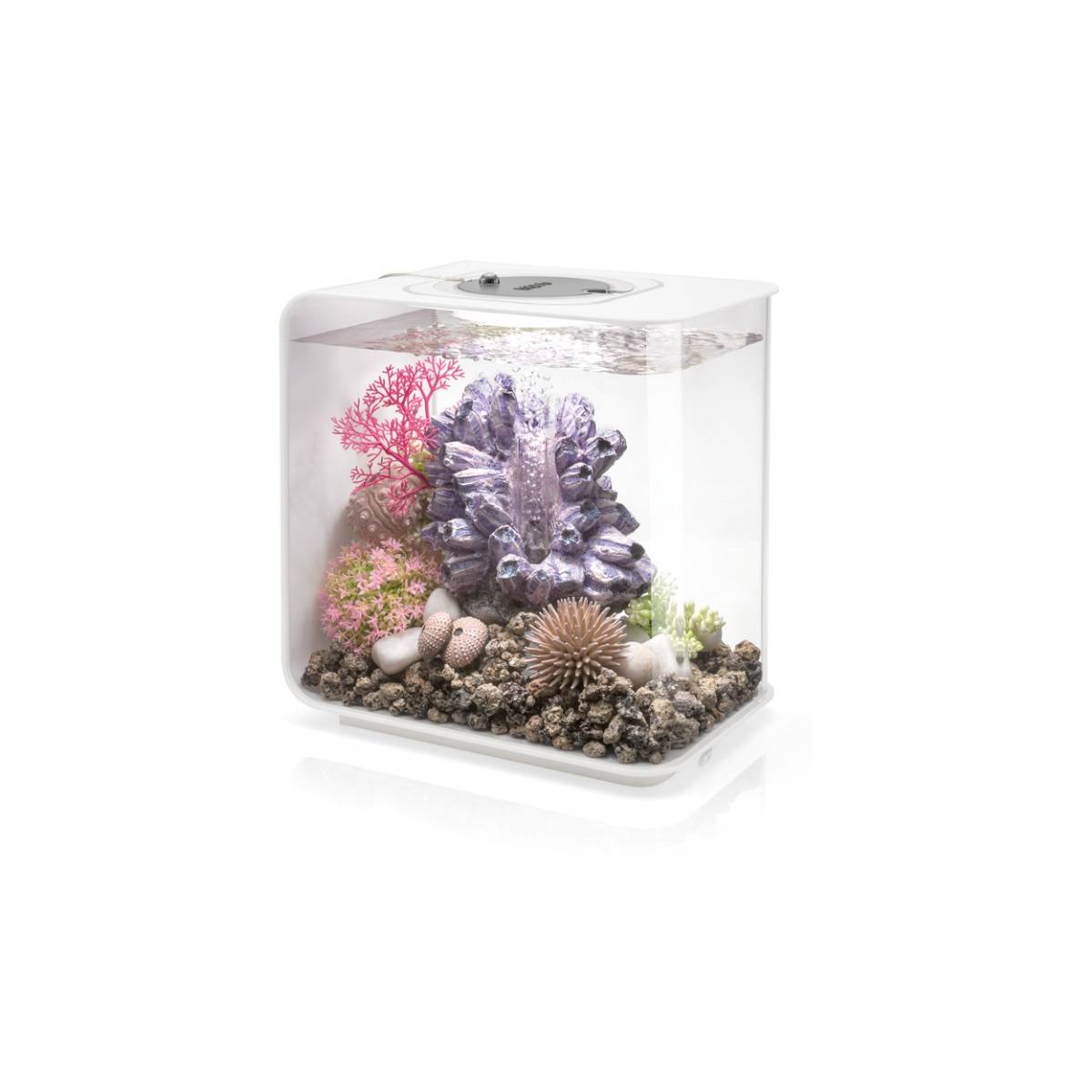 Oase - Aquarium 15l led blanc FLOW 15 MCR WHITE Oase - Image 1