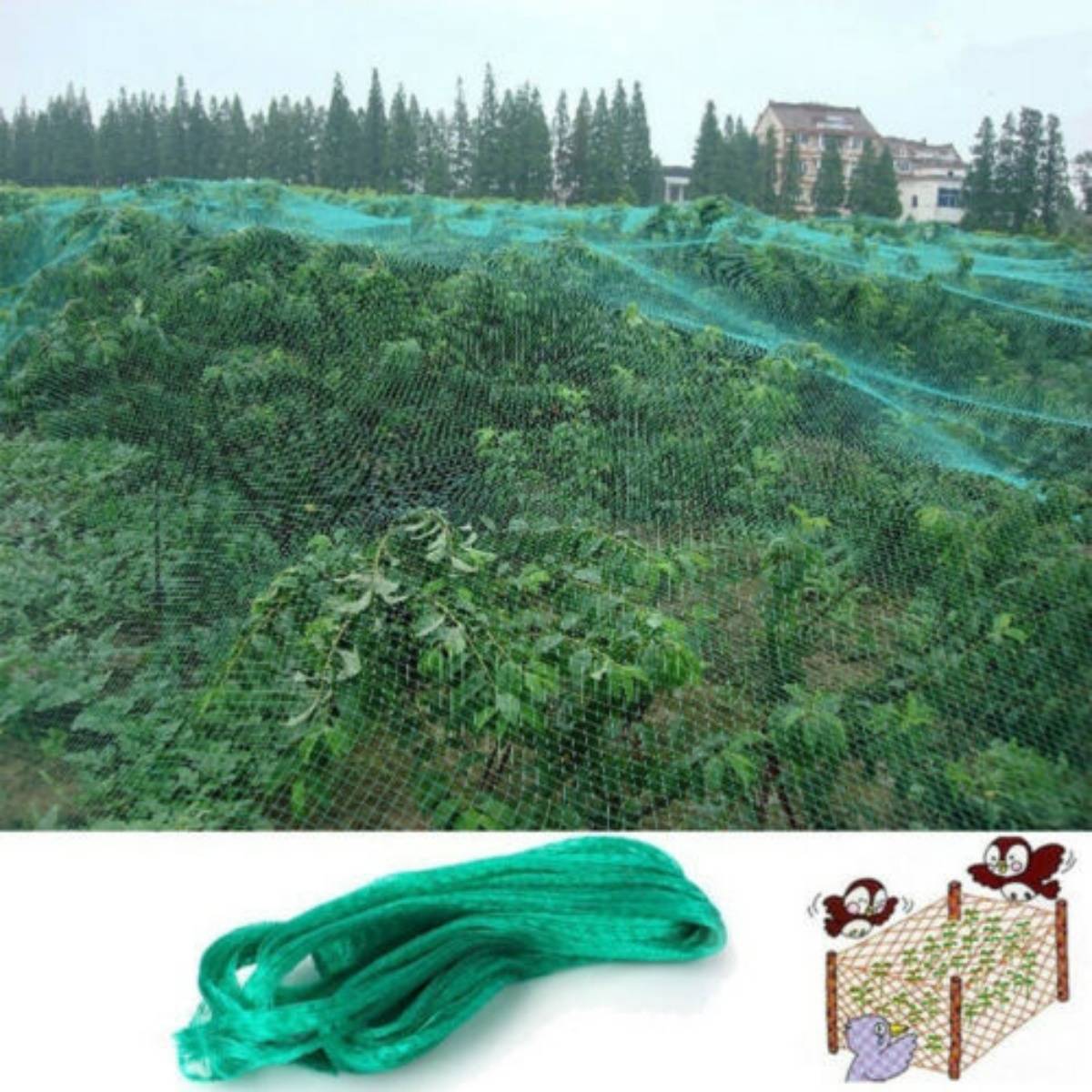 Filet de protection anti-oiseaux vert 4x10mMCBOSON - Image 3