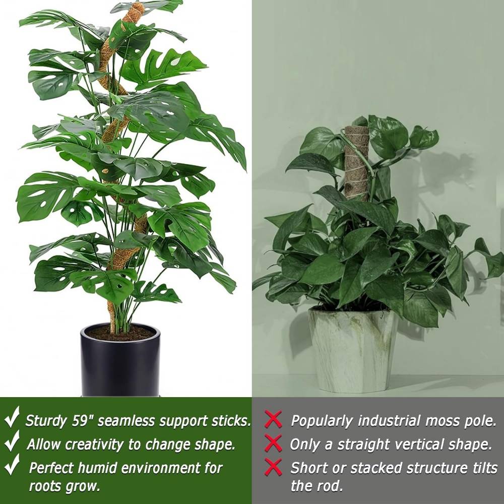 DtopbuyAge - Tuteur en fibre de coco 160cm - Pliable pour Monstera/Pothos - Support naturel plantes grimpantes - DtopbuyAge - Image 5