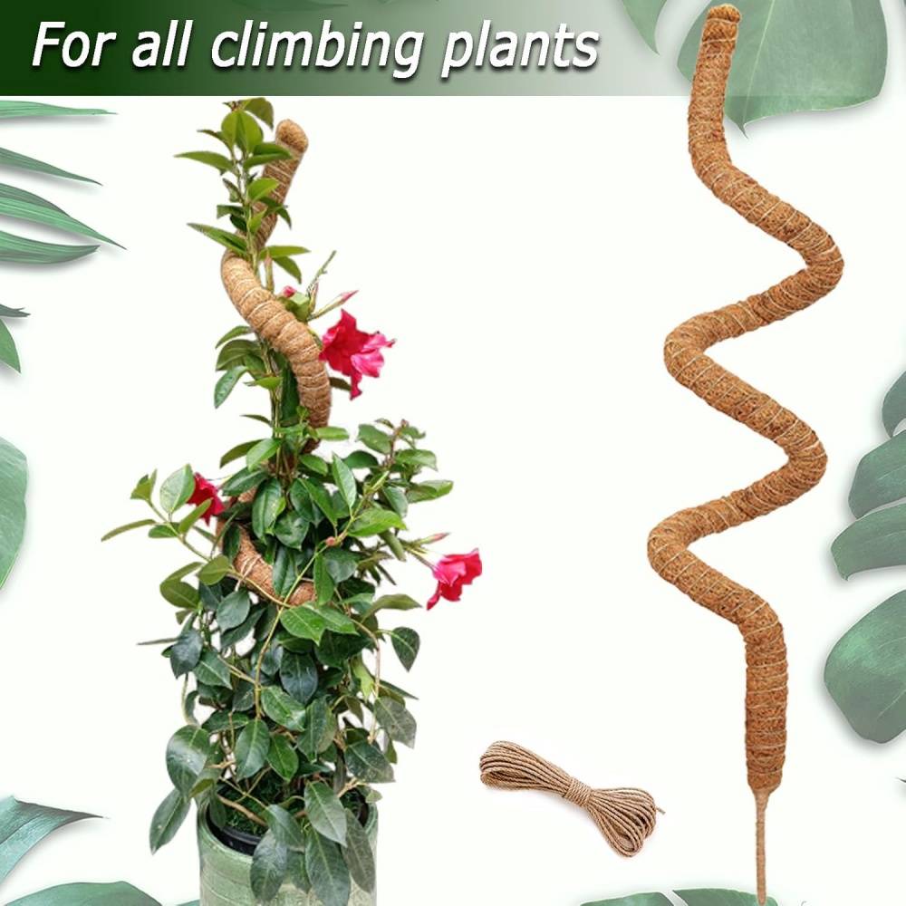DtopbuyAge - Tuteur en fibre de coco 160cm - Pliable pour Monstera/Pothos - Support naturel plantes grimpantes - DtopbuyAge - Image 3