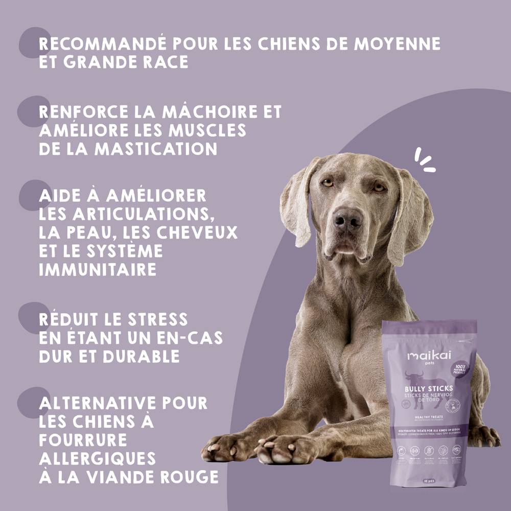 Friandises à Mâcher (10 unités) - Nerfs de Bœuf pour Chien 100% Naturelles - MAIKAI - Image 4