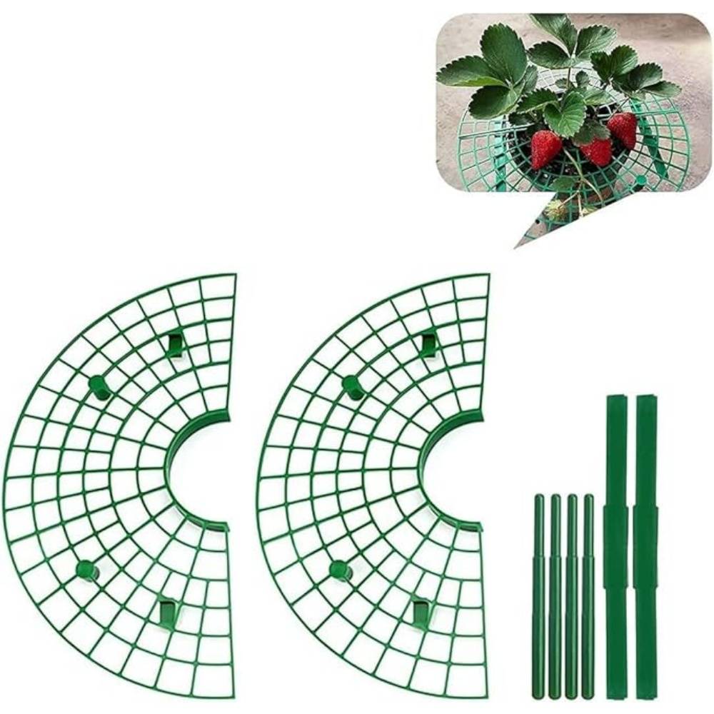 DtopbuyAge - Lot de 10 Supports de Fraisier en Plastique - Image 3