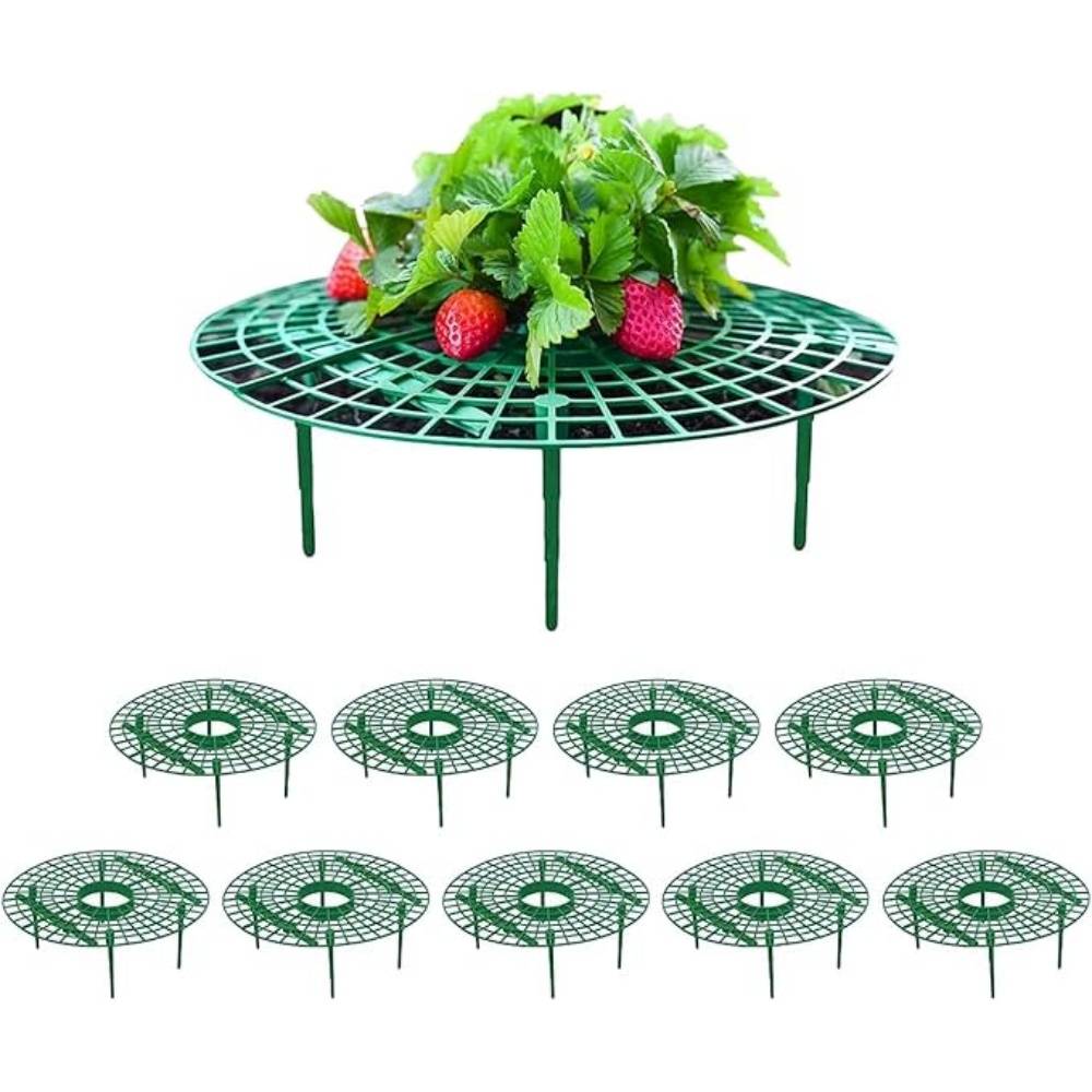 DtopbuyAge - Lot de 10 Supports de Fraisier en Plastique - Image 1