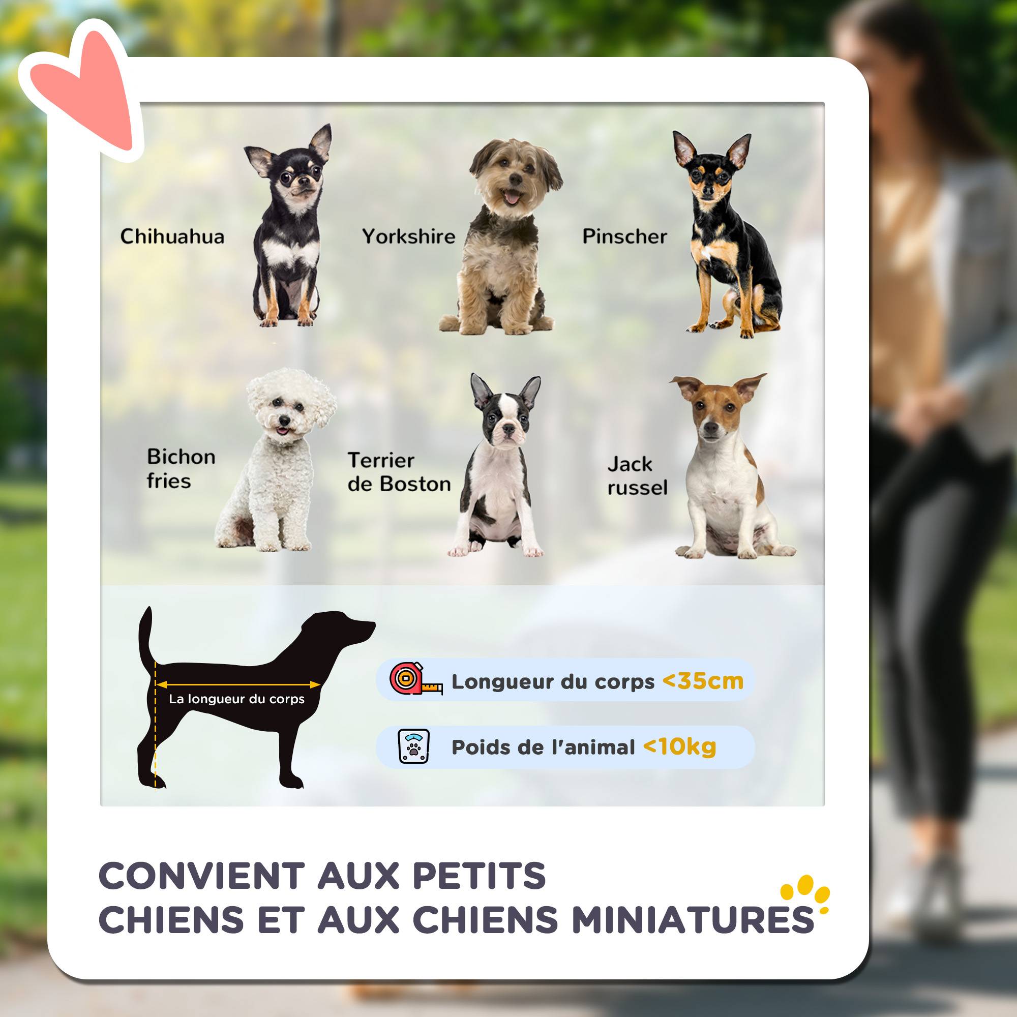 Poussette buggy pour chiens 75L x 46l x 94H cm pliable imperméable tissu 600D Oxford 4 roues noir - Image 6