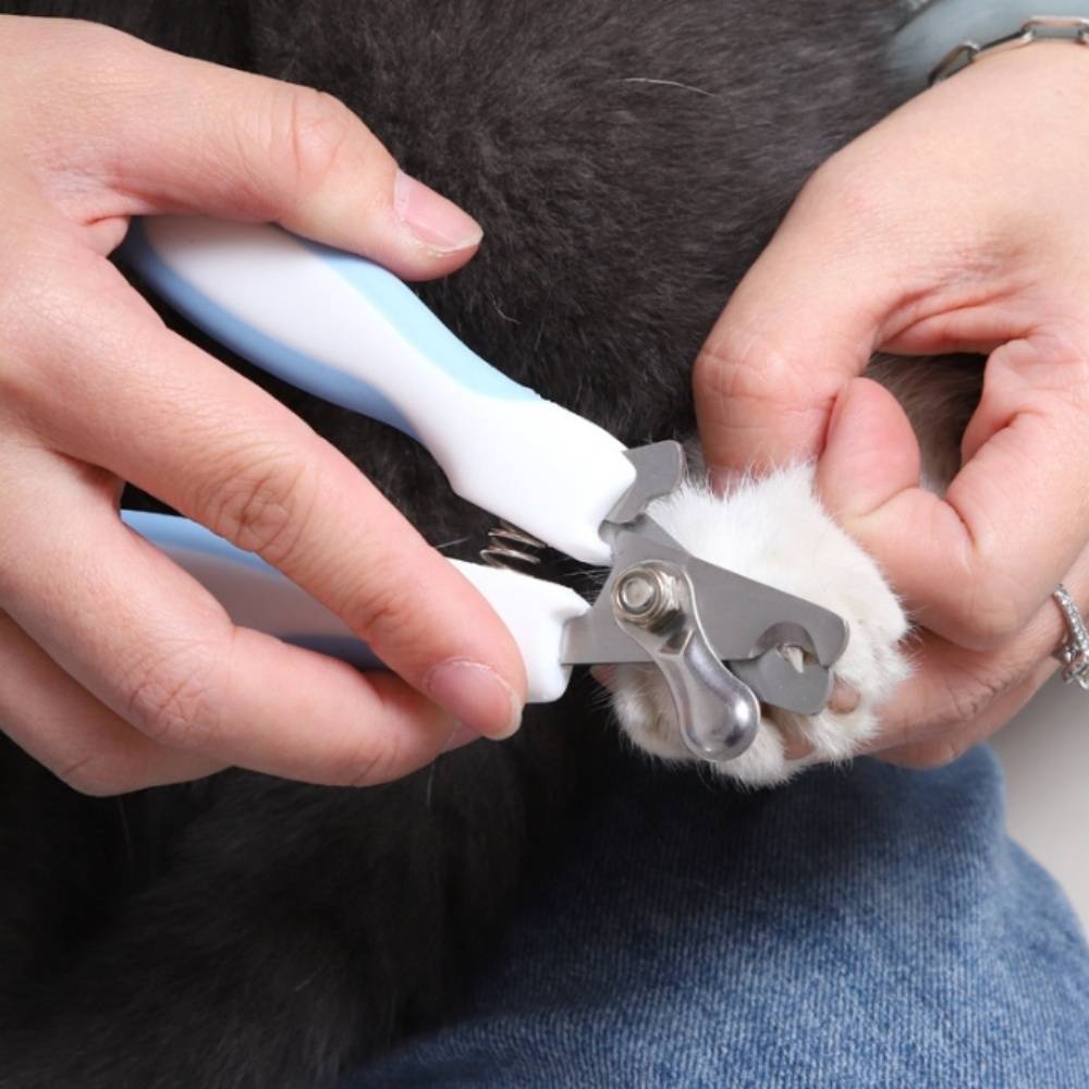 IntiMeg - Coupe-griffes pour animaux de compagnie IntiMeg - Image 9