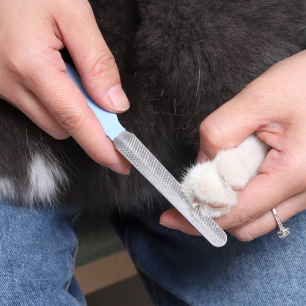 IntiMeg - Coupe-griffes pour animaux de compagnie IntiMeg - Image 8