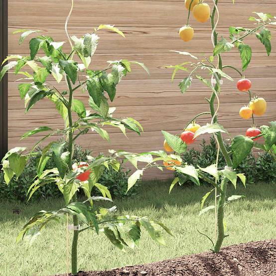Vidaxl - Supports de plantes en spirale 50 pcs Acier galvanisé 110 cm vidaXL 142416 - Image 5
