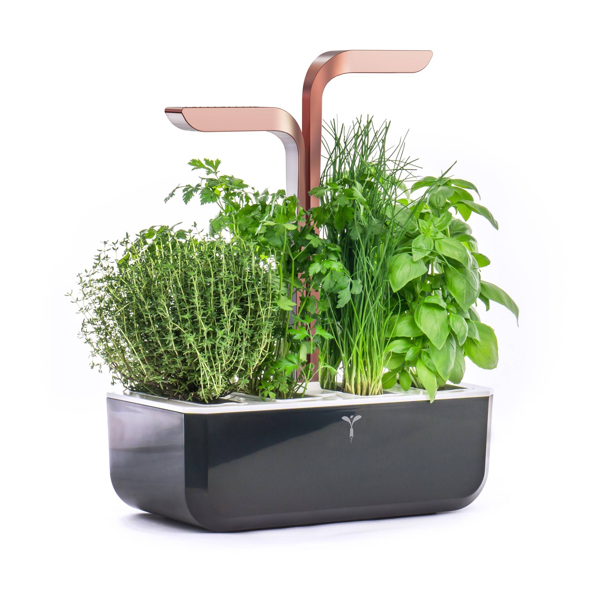 Veritable - Potager d'intérieur Autonome Véritable SMART Copper - Livré avec 4 Lingots - Véritable - Image 2