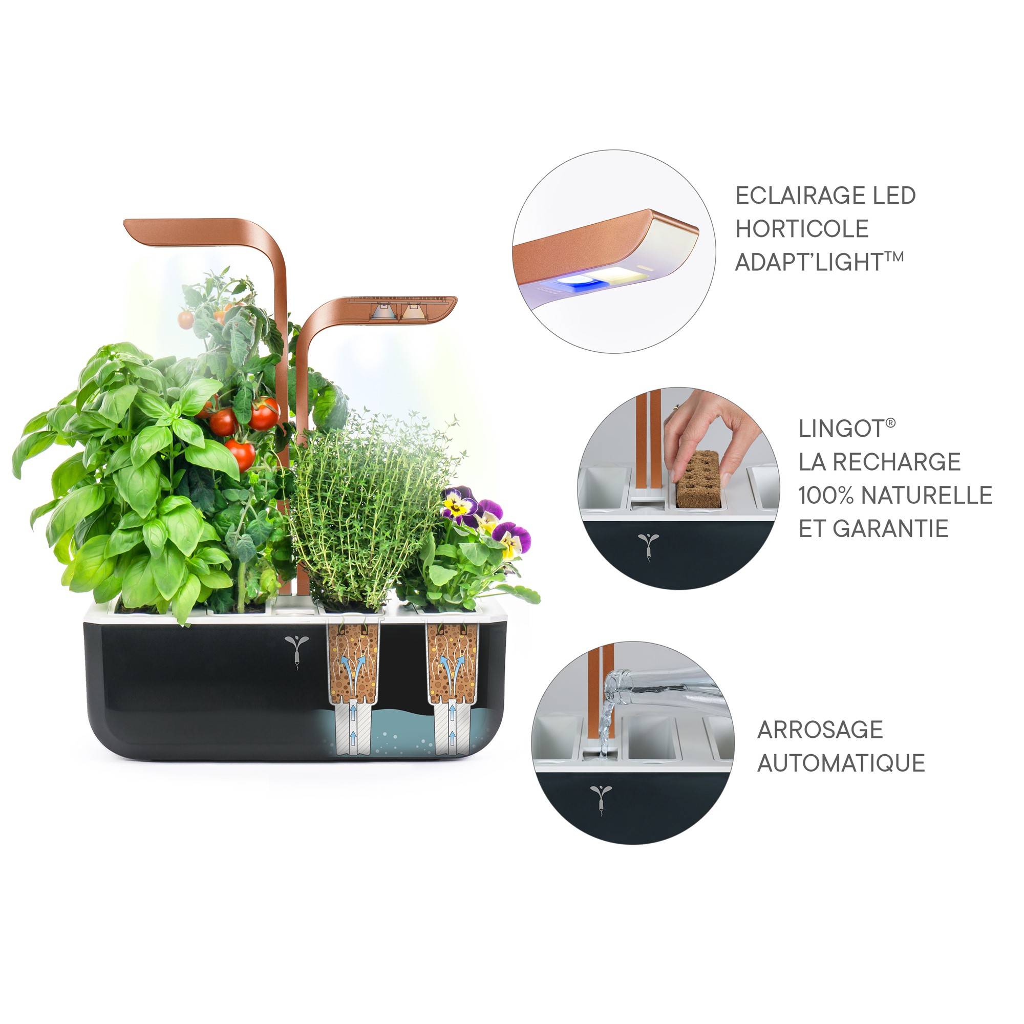 Veritable - Potager d'intérieur Autonome Véritable SMART Copper - Livré avec 4 Lingots - Véritable - Image 5