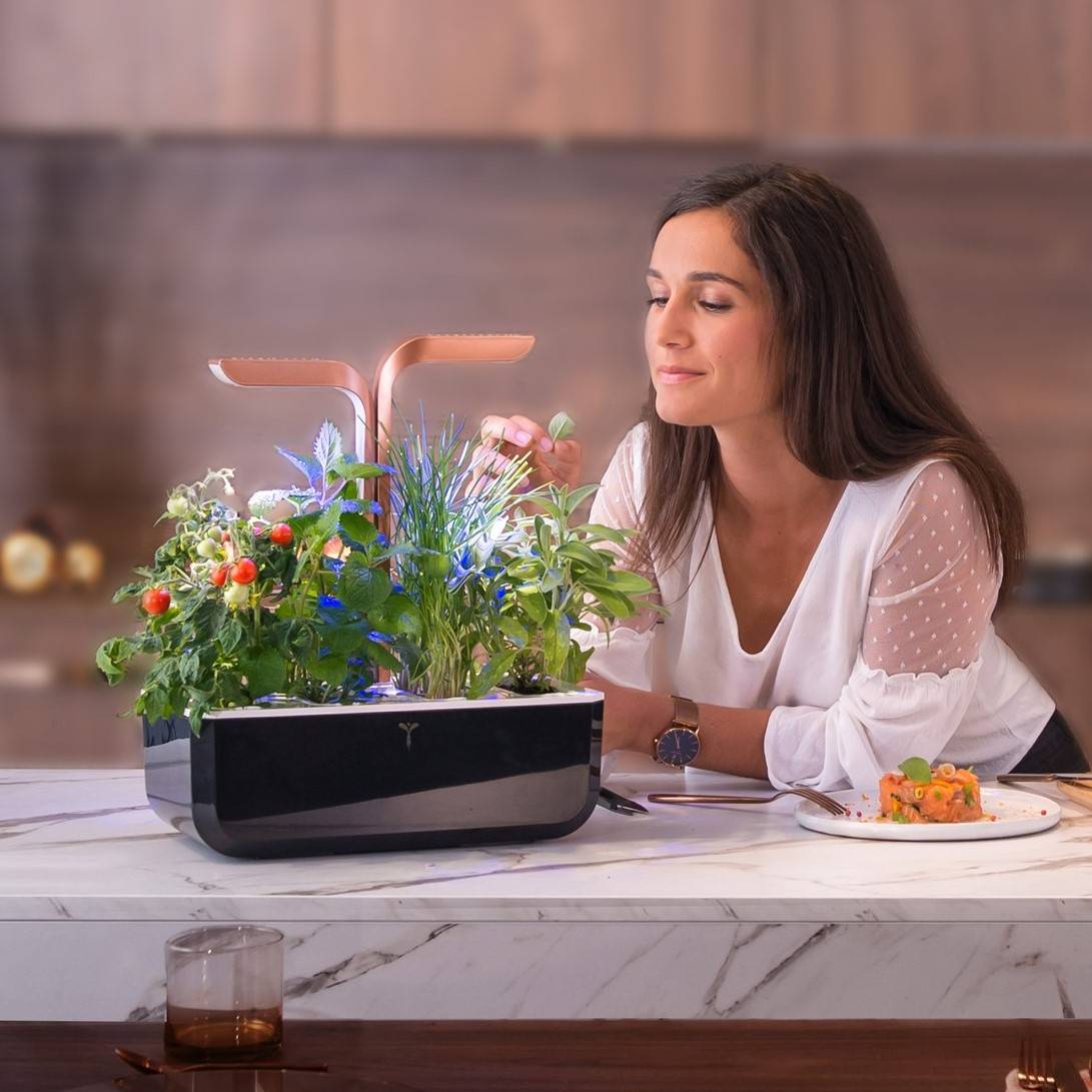 Veritable - Potager d'intérieur Autonome Véritable SMART Copper - Livré avec 4 Lingots - Véritable - Image 4