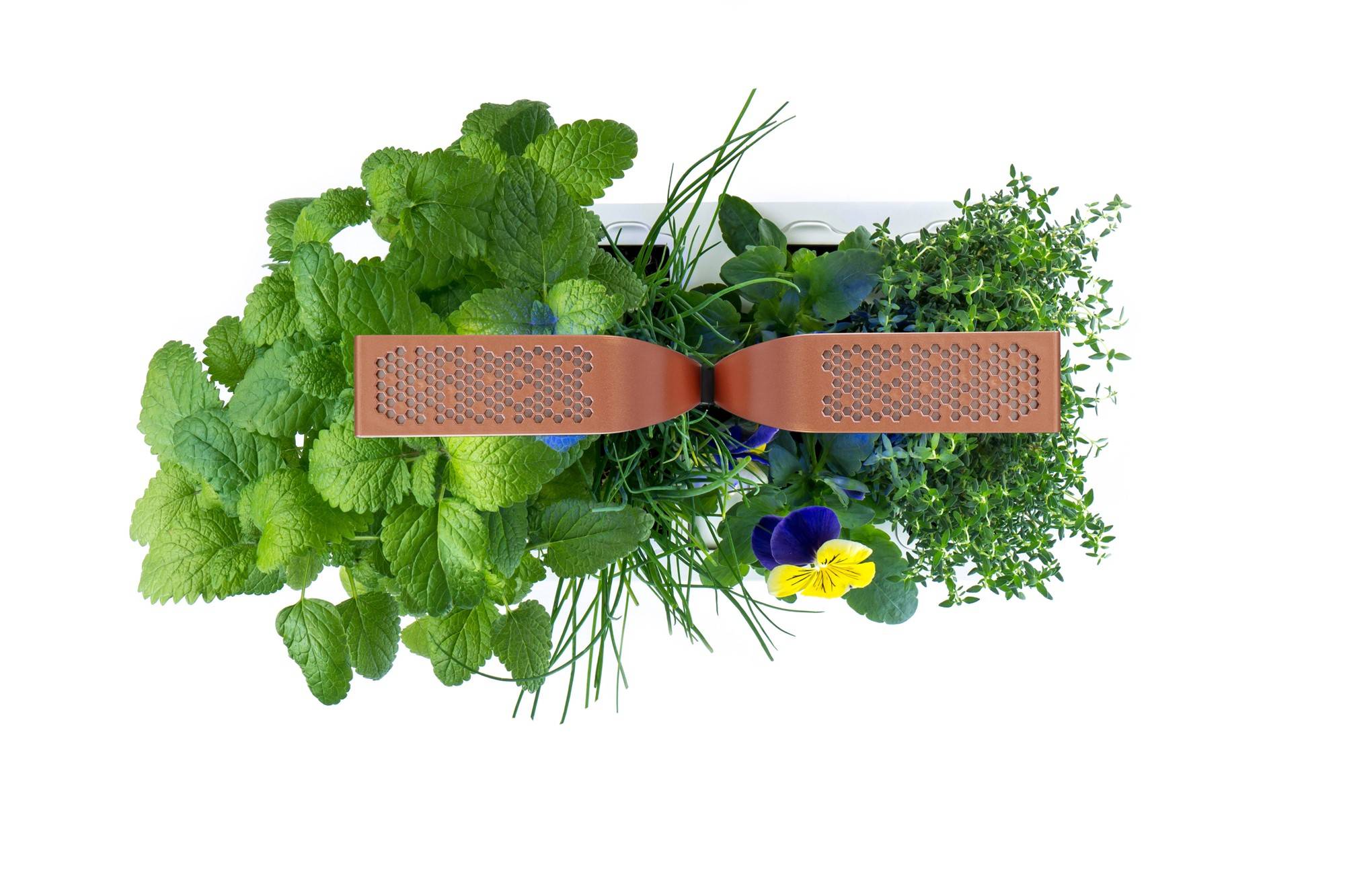 Veritable - Potager d'intérieur Autonome Véritable SMART Copper - Livré avec 4 Lingots - Véritable - Image 3