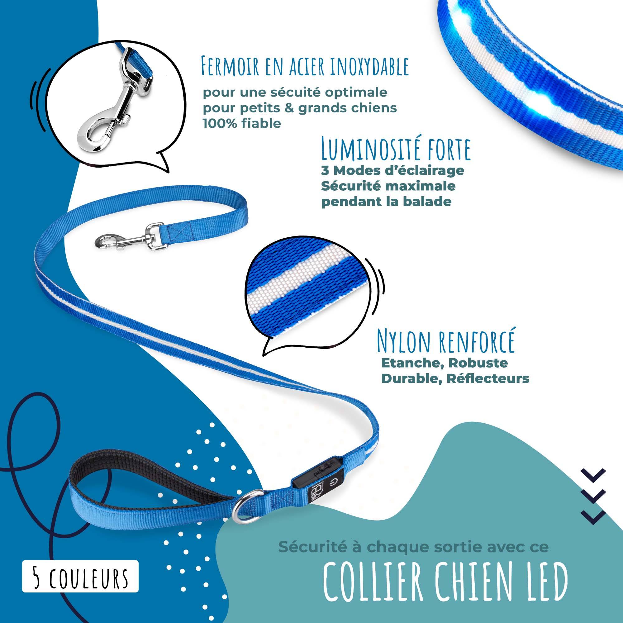 Bi International - Laisse pour chien [L'original] 1,2 m LED lumineux (Rouge) - BI International - Image 2