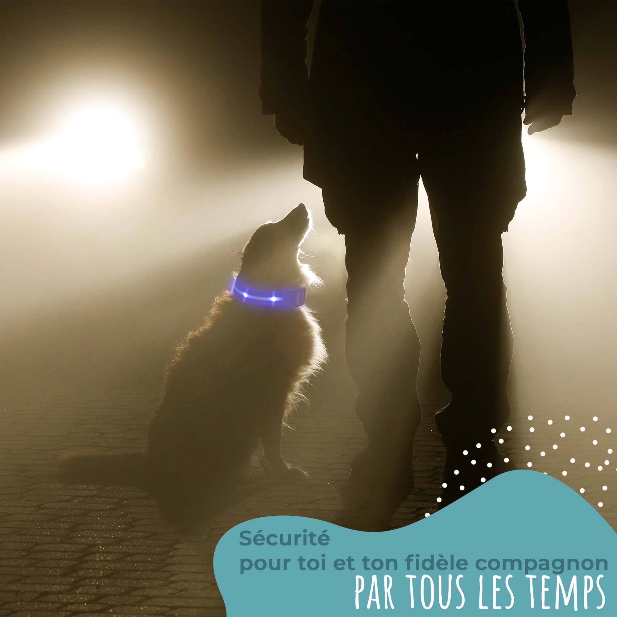 Bi International - Laisse pour chien [L'original] 1,2 m LED lumineux (Rouge) - BI International - Image 5