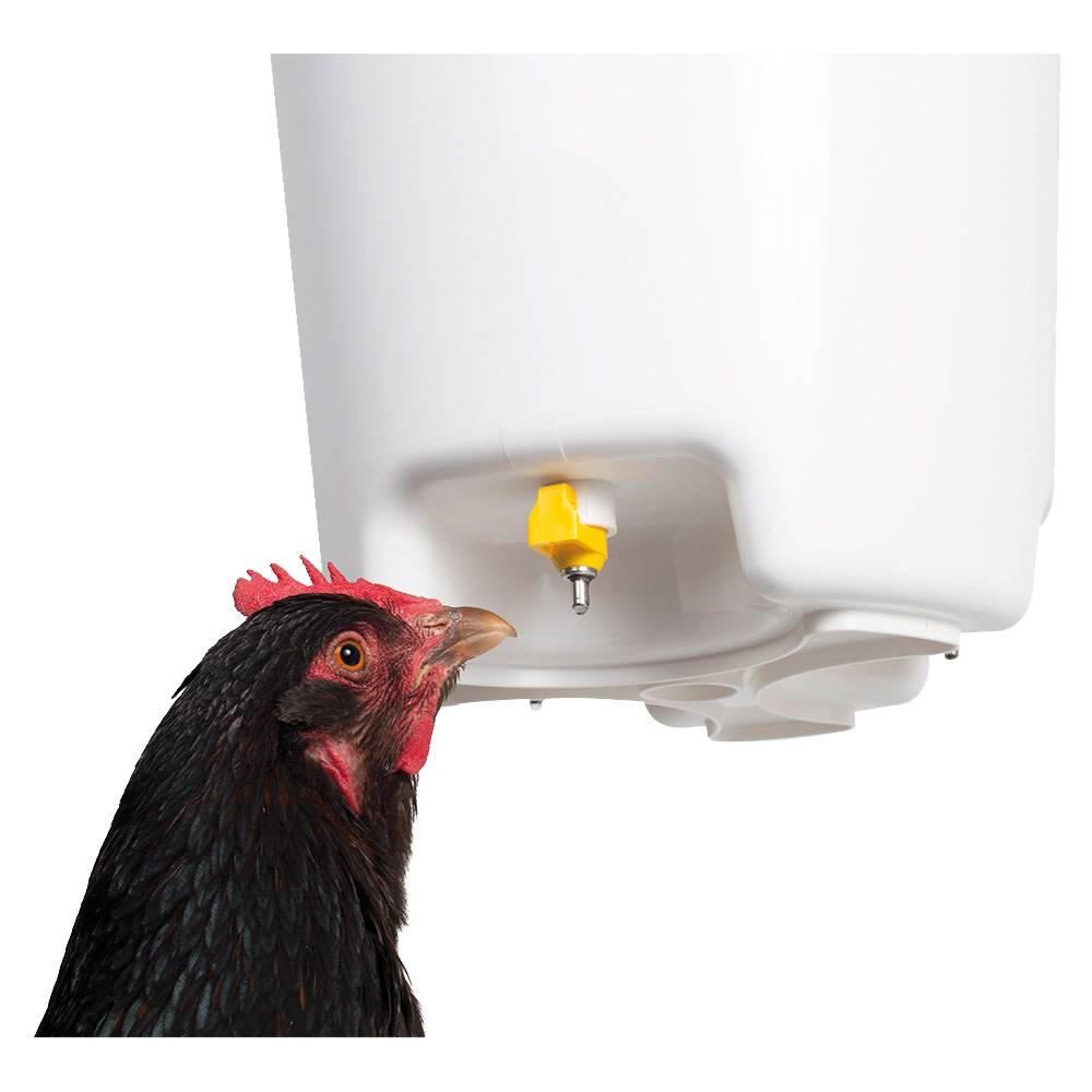 Chick'a - Abreuvoir suspendu à pipettes 12 L CHICK'A - Image 2