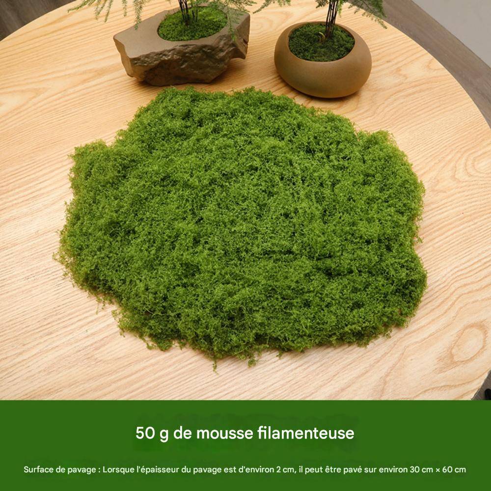 Mousse Artificielle 50g x 2 pour Décoration Jardin - Aspect Naturel et Sans Entretien - Lytech - Image 2