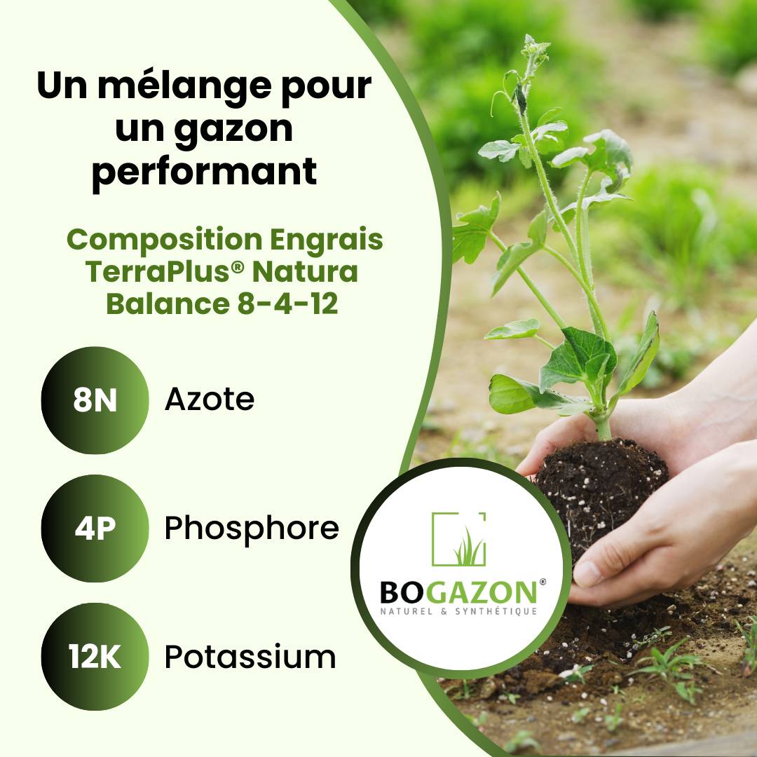 Engrais Gazon TerraPlus® Natura Balance 8-4-12 5KG Bogazon® | Fertilisant Bio pour Gazon Naturel & Durable | Nutrition Organique Équilibrée - Image 5