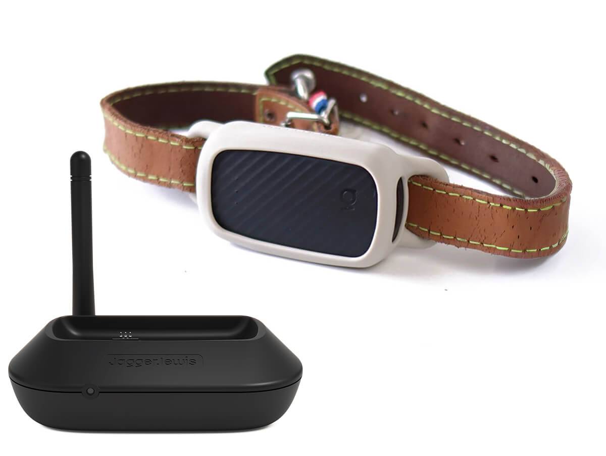 Collier GPS pour chien sans abonnement - Noir / Weimar / Avec Smartdock - Image 1
