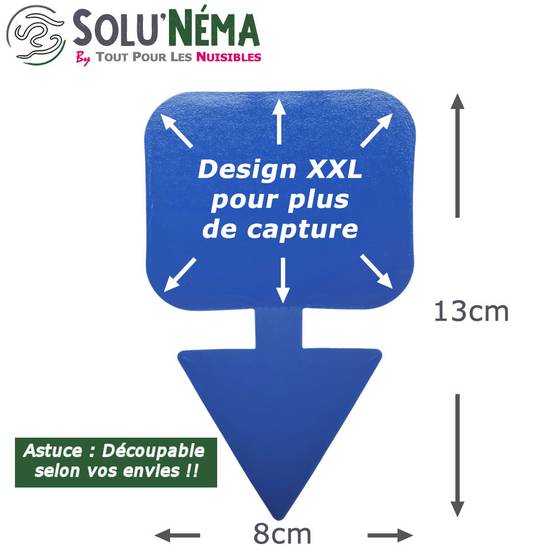 Solunéma - Kit Complet Anti-Thrips - 5 Millions Nématodes SF + Pulvérisateur 2L + 10 Pièges Bleus Collants XXL - Image 4