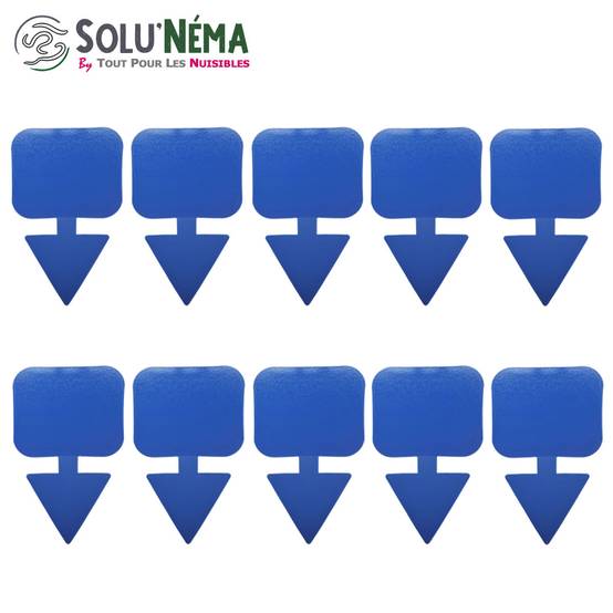 Solunéma - Kit Complet Anti-Thrips - 5 Millions Nématodes SF + Pulvérisateur 2L + 10 Pièges Bleus Collants XXL - Image 5