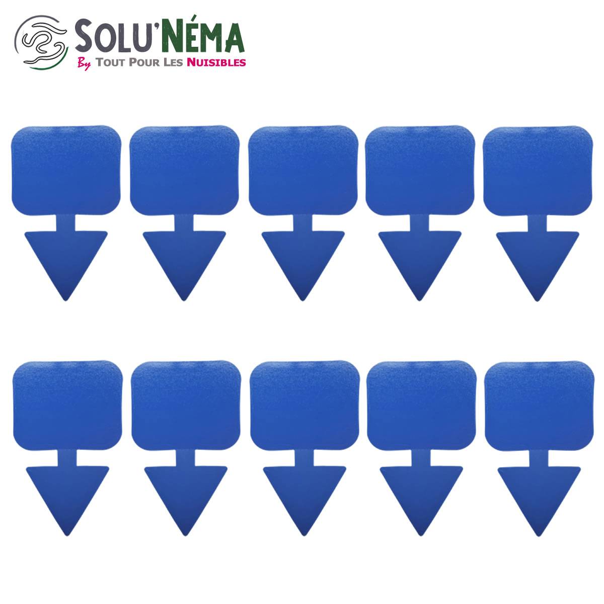 Solunéma - Kit Complet Anti-Thrips - 5 Millions Nématodes SF  + Pulvérisateur 2L + 10 Pièges Bleus Collants XXL - Image 5