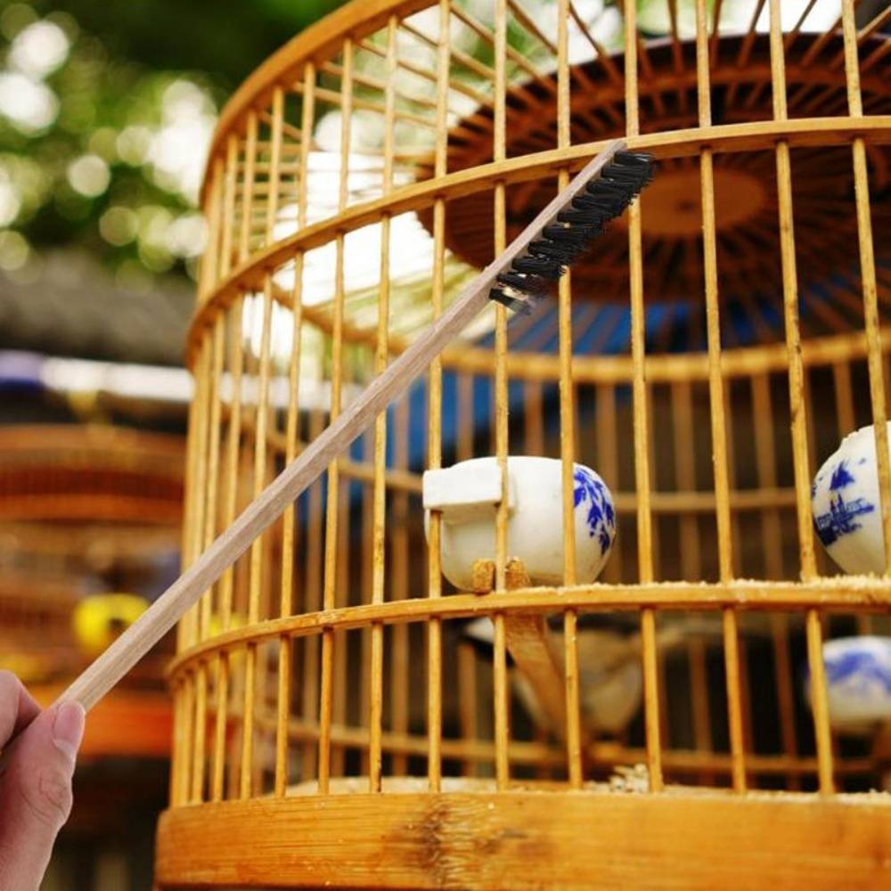 DtopbuyAge - Lot de 3 brosses de nettoyage en bois pour cage d'oiseaux DtopbuyAge - Image 3
