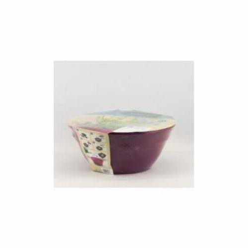 Moerings - Kit de 3 plantes aquatiques en mini-bassin - Taupe - Image 1