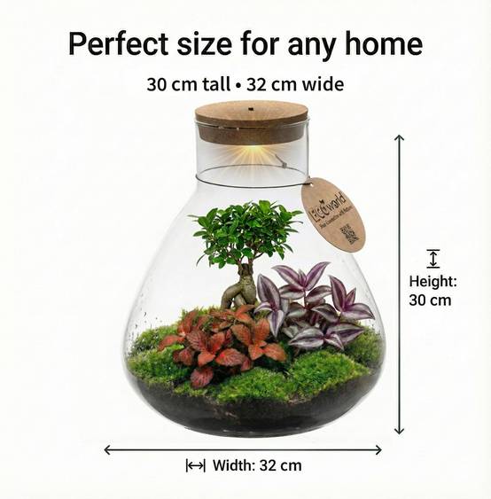0 - Terrarium DIY - Écosystème Autonome - Image 6