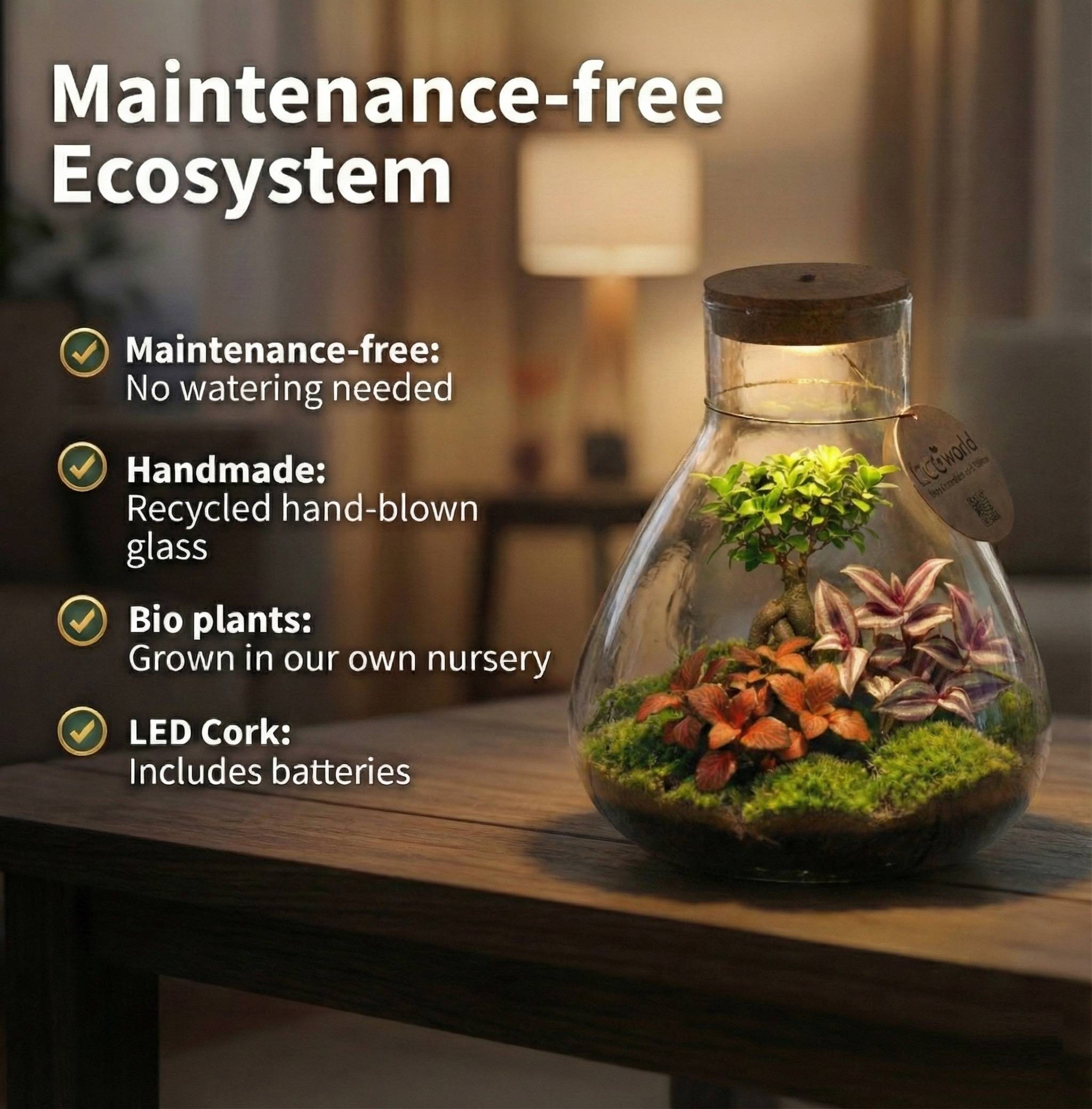 0 - Terrarium DIY  - Écosystème Autonome - Image 3
