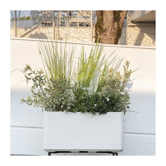 Deroma - Jardiniere Muret - Deroma - Cosmo - Perle - A Réserve D'eau - Roulettes -78 Cm - Image 6