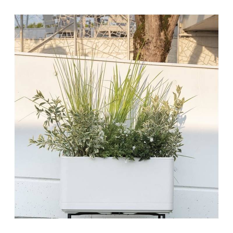 Deroma - Jardiniere Muret - Deroma - Cosmo - Perle - A Réserve D'eau - Roulettes -78 Cm - Image 6