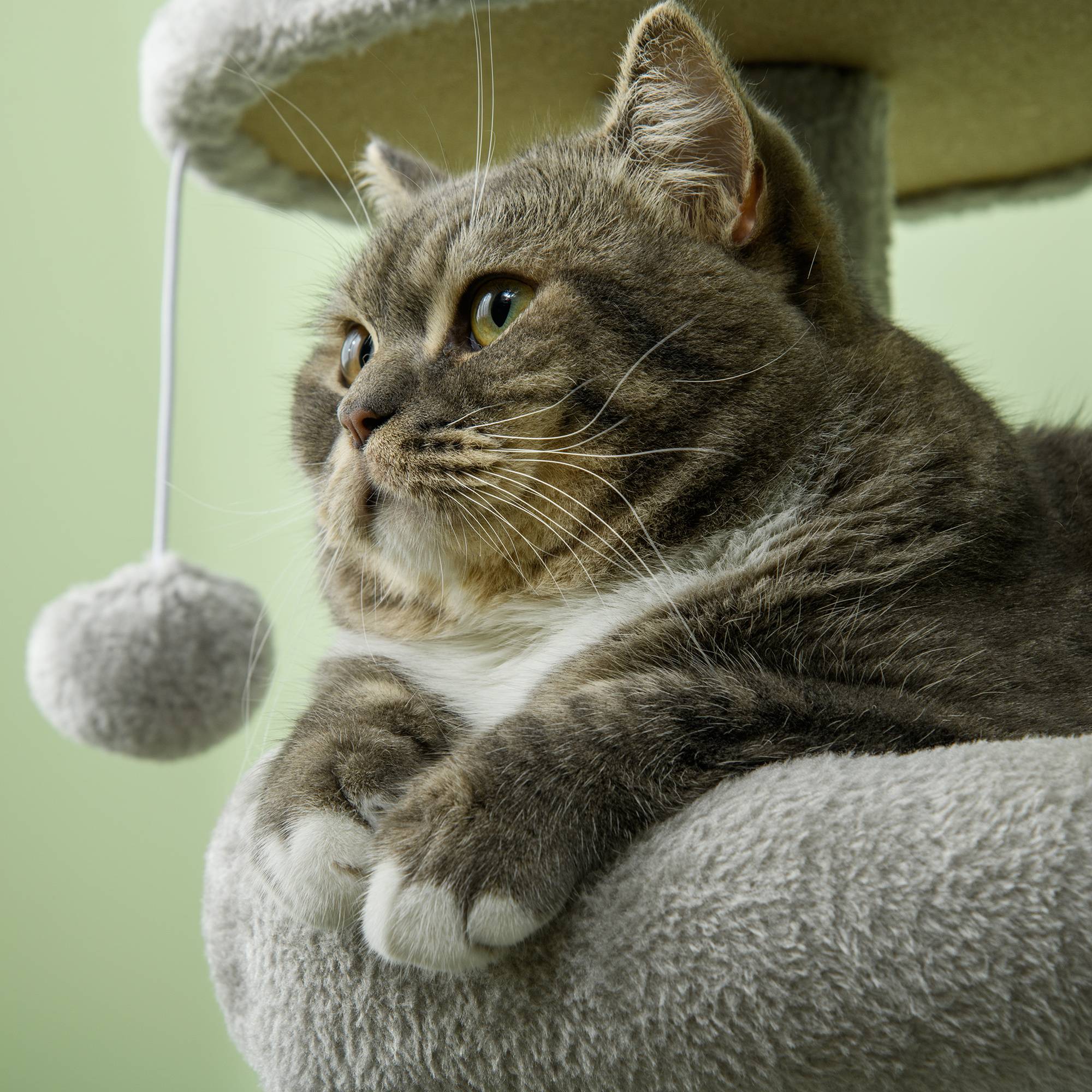 Arbre à chat multi-niveaux avec niche hamac et jeux pour chat 104 cm Gris clair - ComfortXL Outdoor Living - Image 10
