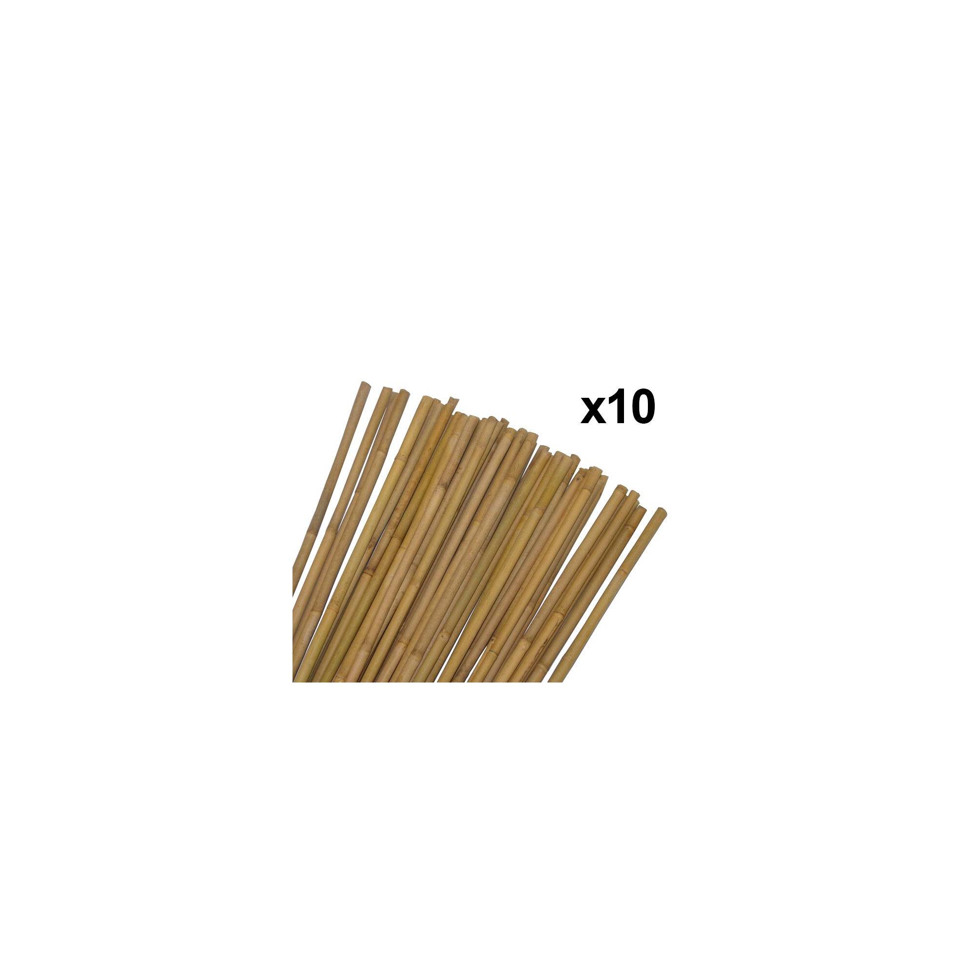 Sans Marque - Lot de 10 tuteurs pour plantes et légumes - En bambou - Hauteur : 180 cm - Image 3