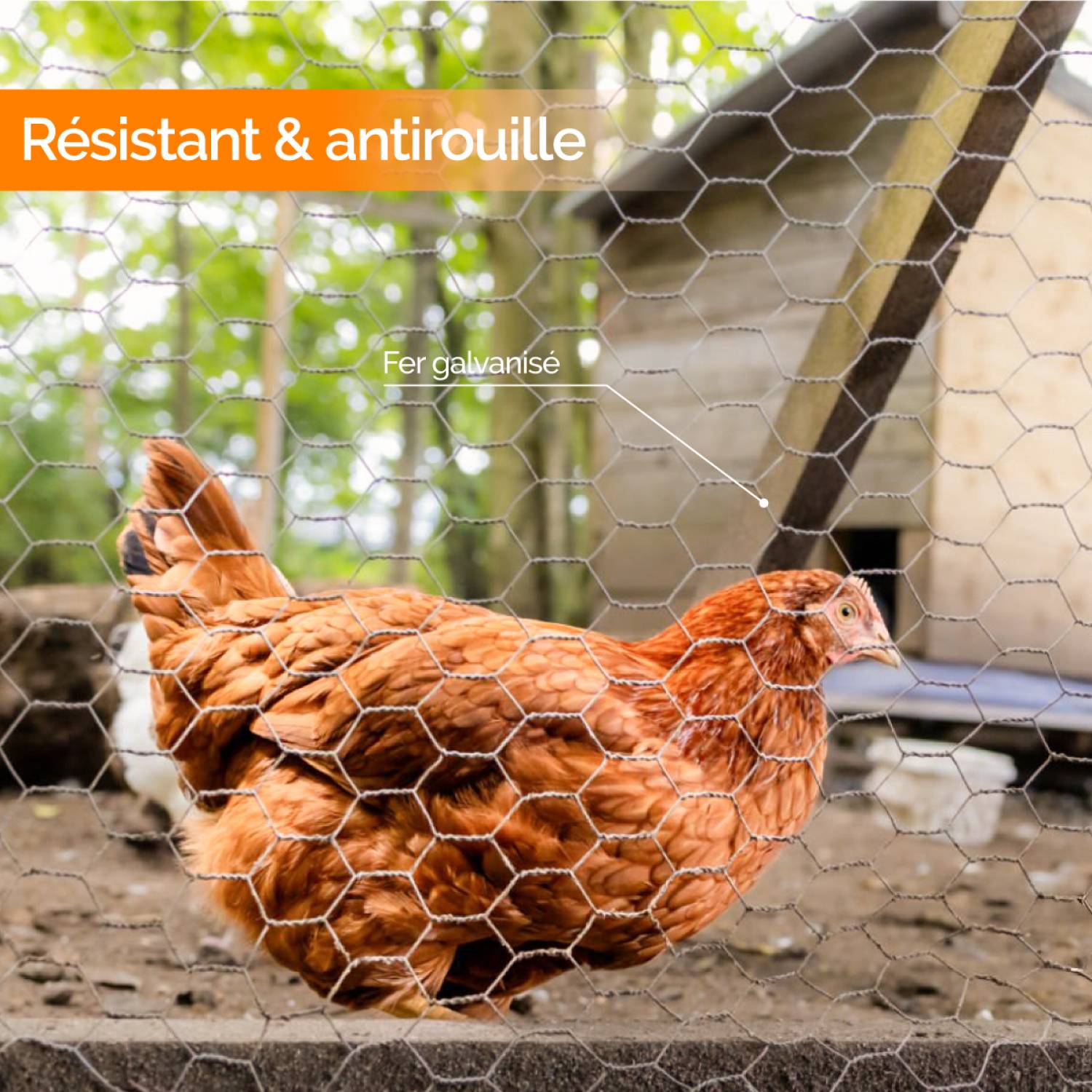 Linxor - Grillage triple torsion galvanisé pour poules ou petits animaux, clôture poulailler, jardin - 25 m x 1 m - Maille 25 mm - Diam 1 mm - Gris - Linxor - Image 3