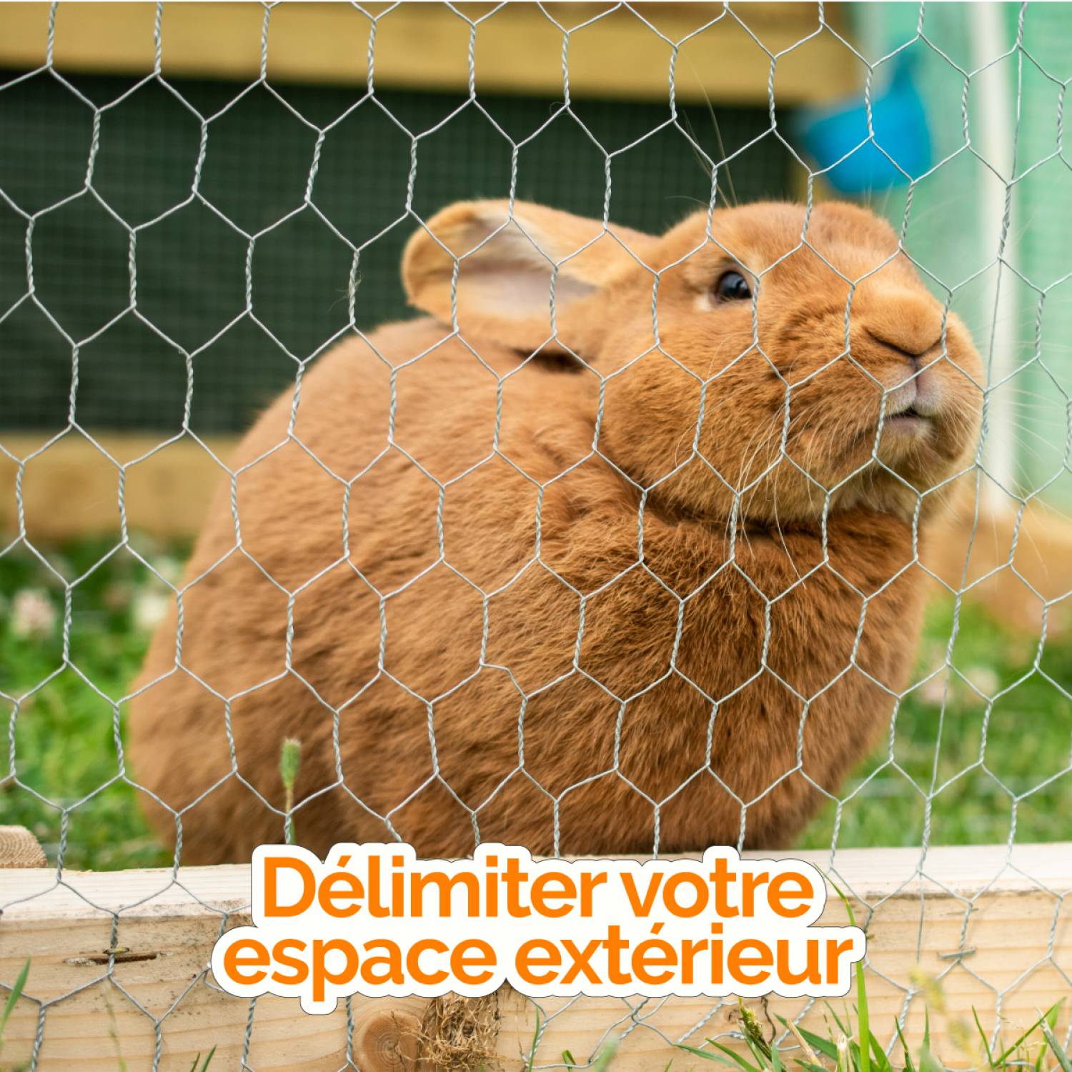 Linxor - Grillage triple torsion galvanisé pour poules ou petits animaux, clôture poulailler, jardin - 25 m x 1 m - Maille 25 mm - Diam 1 mm - Gris - Linxor - Image 4