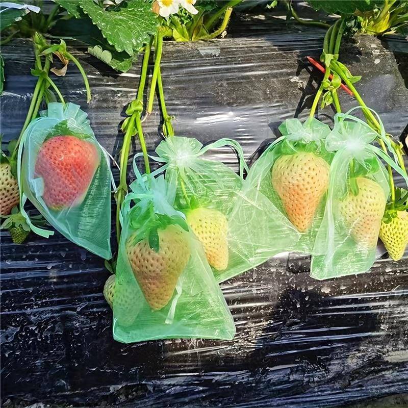 100 sacs de protection de fruits, sacs en filet verts avec cordon de serrage, sacs en filet pour fruits de jardin, protecteurs, 7*9 cm.-Lytech - Image 2