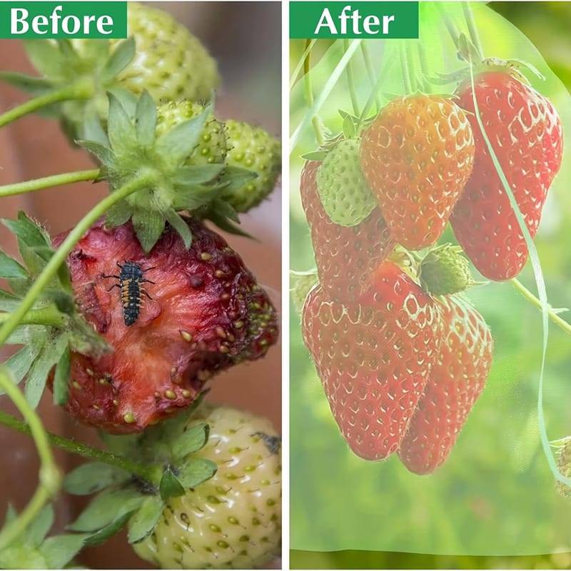 100 sacs de protection de fruits, sacs en filet verts avec cordon de serrage, sacs en filet pour fruits de jardin, protecteurs, 7*9 cm.-Lytech - Image 3