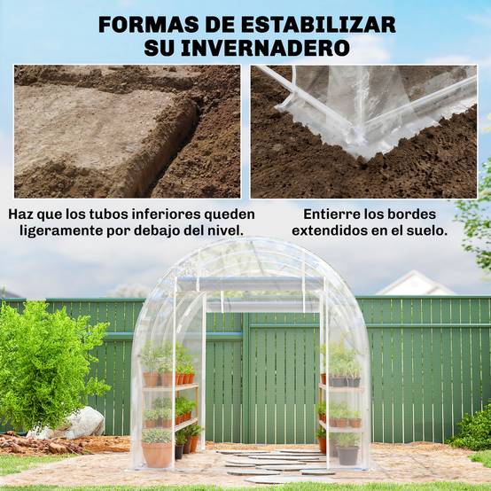Serre tunnel 3 x 2 x 2 m avec 2 portes enroulables, structure en acier galvanisé, bâche transparente anti-UV en polyéthylène. - Image 9