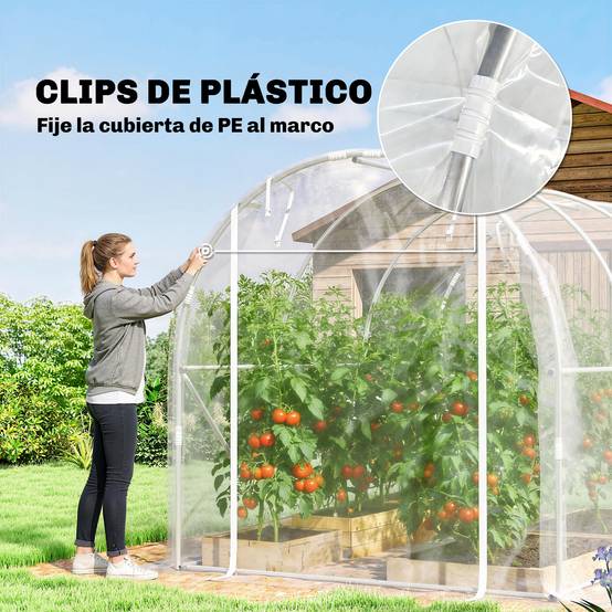 Serre tunnel 3 x 2 x 2 m avec 2 portes enroulables, structure en acier galvanisé, bâche transparente anti-UV en polyéthylène. - Image 10