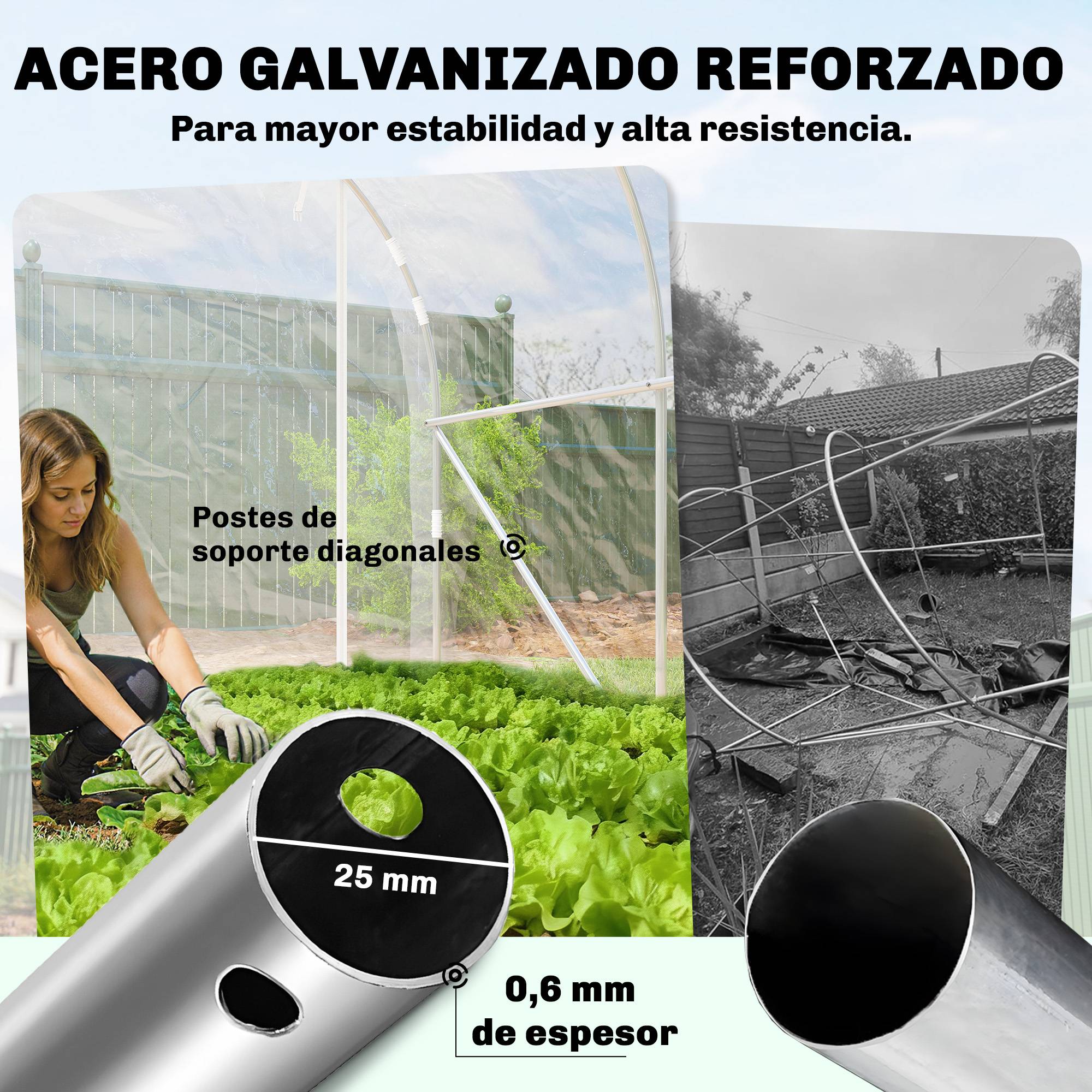 Serre tunnel 3 x 2 x 2 m avec 2 portes enroulables, structure en acier galvanisé, bâche transparente anti-UV en polyéthylène. - Image 6
