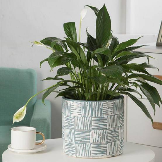 Pot de fleurs en céramique bleu IntiMeg - Image 4