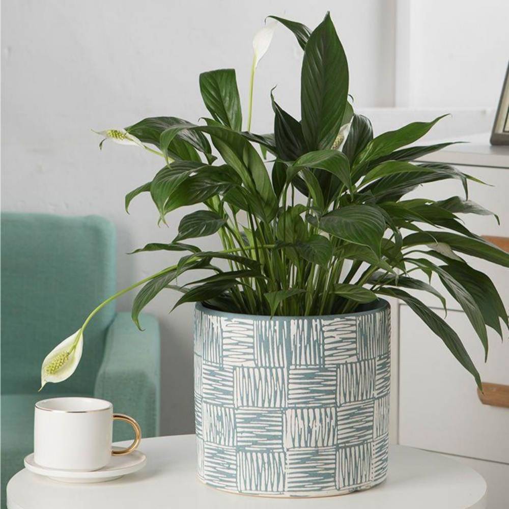 Pot de fleurs en céramique bleu IntiMeg - Image 4