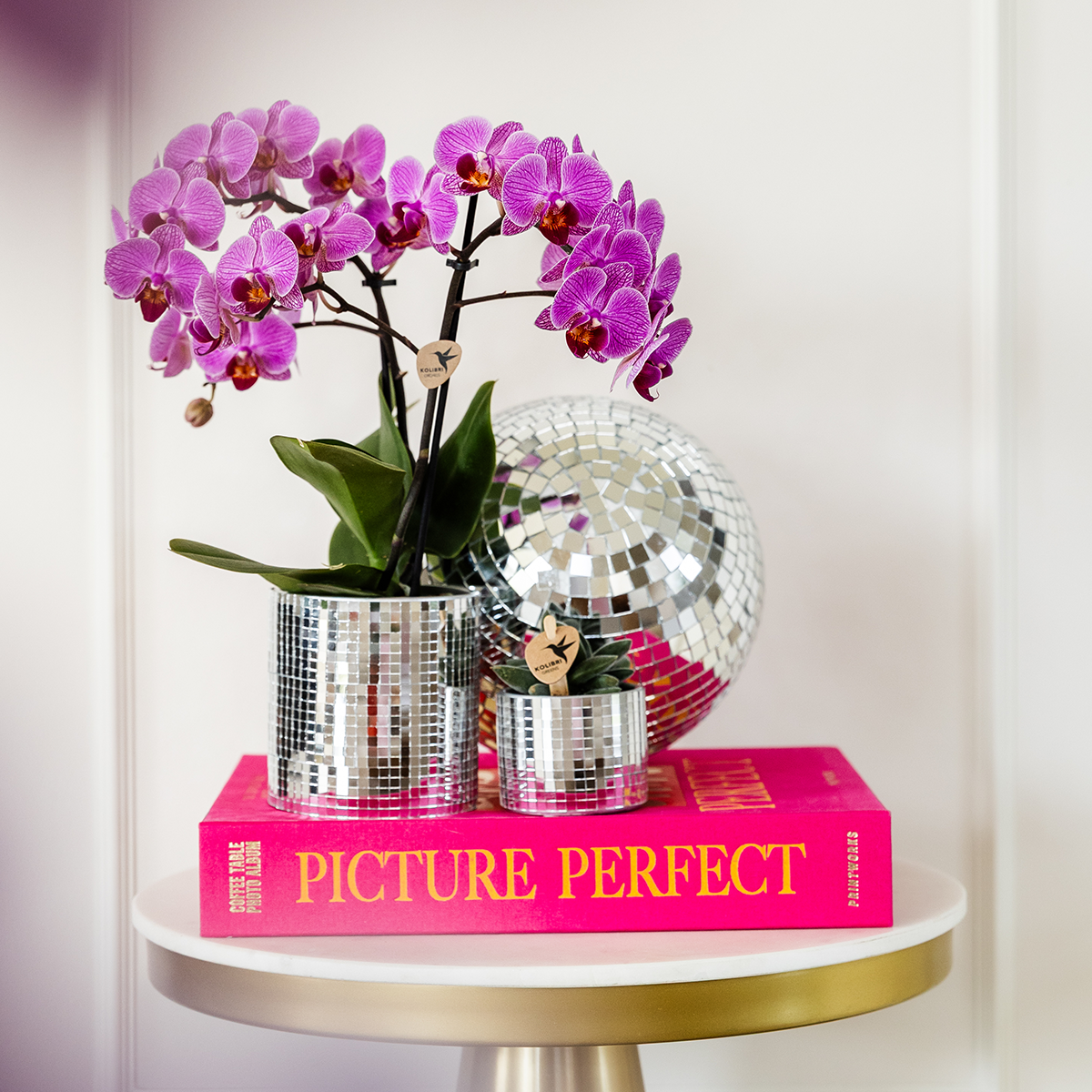 De 4 Orchidées Phalaenopsis - D9 H35cm - Image 2