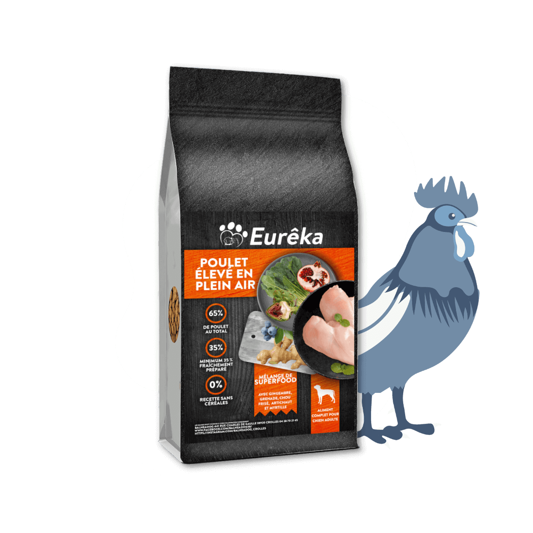 Croquettes chien adulte holistic sans céréales - Poulet élevé en plein air - 2 Kg - Image 1