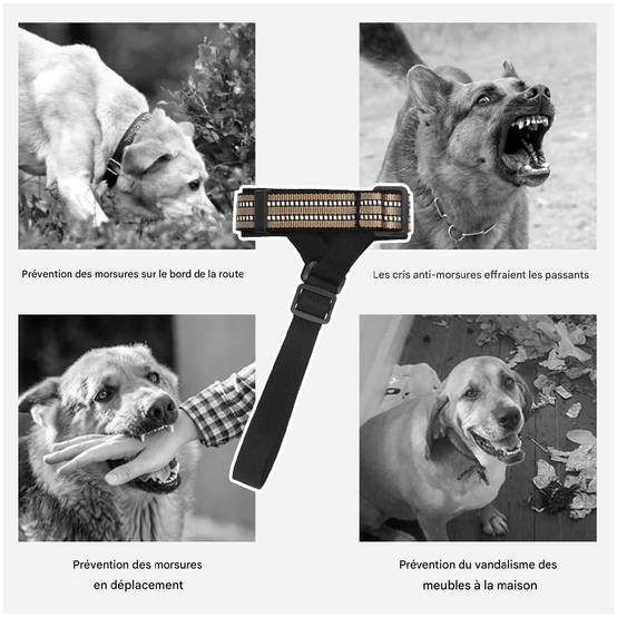 Muselière confortable pour chien kaki taille M ajustable - Lytech - Image 3