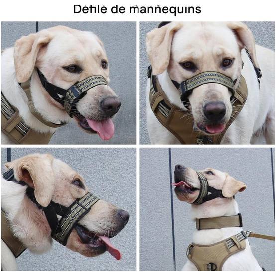 Muselière confortable pour chien kaki taille M ajustable - Lytech - Image 5